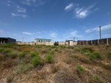 merdekanda Satılır Torpaq, -6