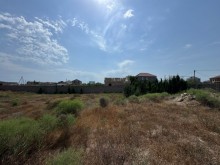 merdekanda Satılır Torpaq, -7