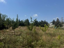 Satılır Torpaq sagan, -2