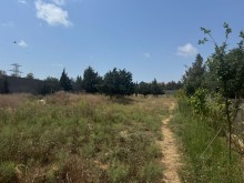 Satılır Torpaq sagan, -3