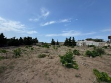 Satılır Torpaq suvelan, -6