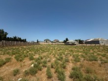 satilir-torpaq-baki-xezer-merdekan-3043-1753961044-s