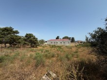 satilir-torpaq-baki-xezer-suvelan-2074-1754210841-s