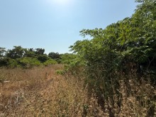 Satılır Torpaq suvelan, Xəzər.r, Şüvəlan-3