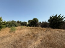 Sale Land merdekan, -3