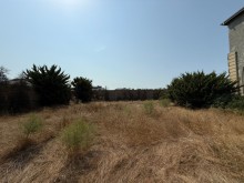 Sale Land merdekan, -4