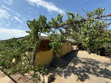 Satılır Torpaq merdekan, -3