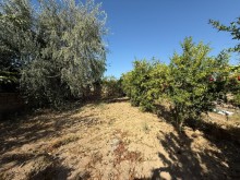 satilir-torpaq-baki-xezer-merdekan-3059-1755521193-s