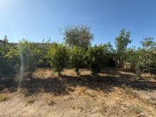 Satılır Torpaq merdekan, -3