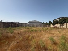 Satılır Torpaq merdekan, -2