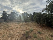 Satılır Torpaq merdekan, -2