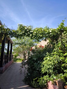 Goradil çimərliyinə yaxın meyvəli bağ evi satılır, -5