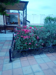 Gəncə şəhərində 1 hektar ərazidə 3 həyət evi olan kompleks satılır, -15