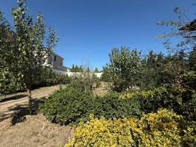 Satılır Torpaq suvelan, -6