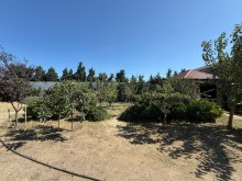 Satılır Torpaq suvelan, -10