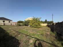 buzovna Satılır Torpaq, -8