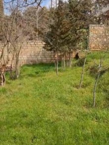 Satılır Torpaq bineqedi-bileceri, -4