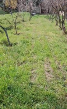 Satılır Torpaq bineqedi-bileceri, -8