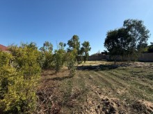 Satılır Torpaq merdekan, -6