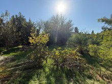 satilir-torpaq-baki-xezer-merdekan-3090-1760276185-s