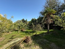 Satılır Torpaq merdekan, -2