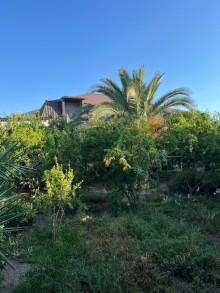 Satılır Torpaq merdekan, -2