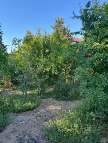 Satılır Torpaq merdekan, -4