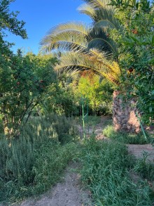 Satılır Torpaq merdekan, -6