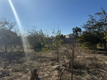 Satılır Torpaq suvelan, -6