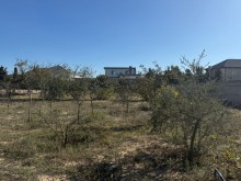 Satılır Torpaq suvelan, -7