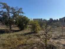 Satılır Torpaq suvelan, -9