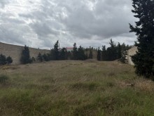 suvelan Satılır Torpaq, -2