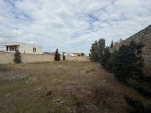 suvelan Satılır Torpaq, -6