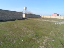 Masazırda Satılır Torpaq, -2