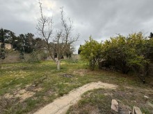 Satılır suvelan Torpaq, -2