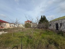 Satılır Torpaq buzovna, -3