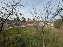 Satılır Torpaq buzovna, -6