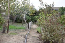 Xanlar küçəsi Xəzər Türkan Satılır Torpaq, -7