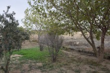 Xanlar küçəsi Xəzər Türkan Satılır Torpaq, -8
