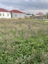 Buzovna Satılır Torpaq, -12