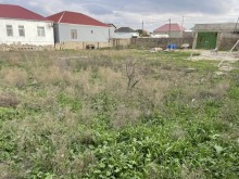 Buzovna Satılır Torpaq, -16