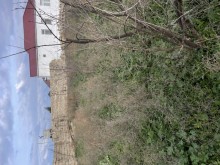 Buzovna Satılır Torpaq, -18