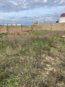 Buzovna Satılır Torpaq, -20