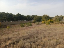 Ceyranbatan Satılır Torpaq, -3