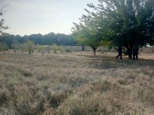 Ceyranbatan Satılır Torpaq, -5