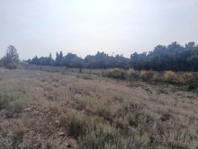 Ceyranbatan Satılır Torpaq, -6