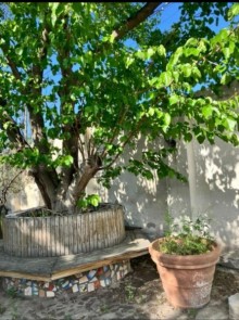 Pirşağının mərkəzində Satılır Həyət evi, -2