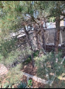 Pirşağının mərkəzində Satılır Həyət evi, -6