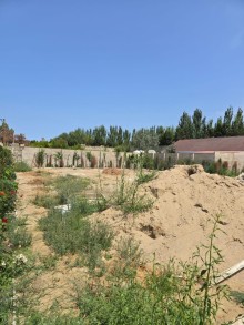 Duz corek restorani ile uzbeuz Şağan qesebesinde Satılır Torpaq, -10