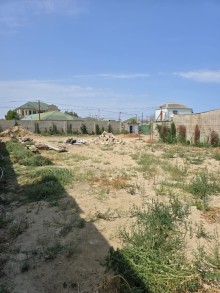 Duz corek restorani ile uzbeuz Şağan qesebesinde Satılır Torpaq, -14